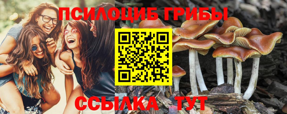 Галлюциногенные грибы мухоморы Чайковский